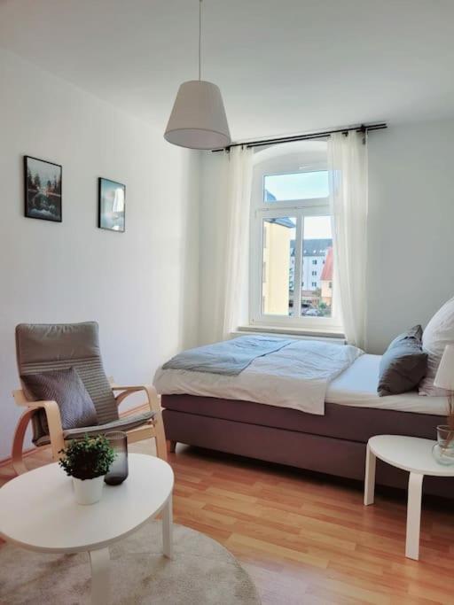 Gemuetliches Helles Appartement Dresden Bagian luar foto
