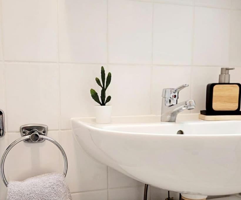 Gemuetliches Helles Appartement Dresden Bagian luar foto